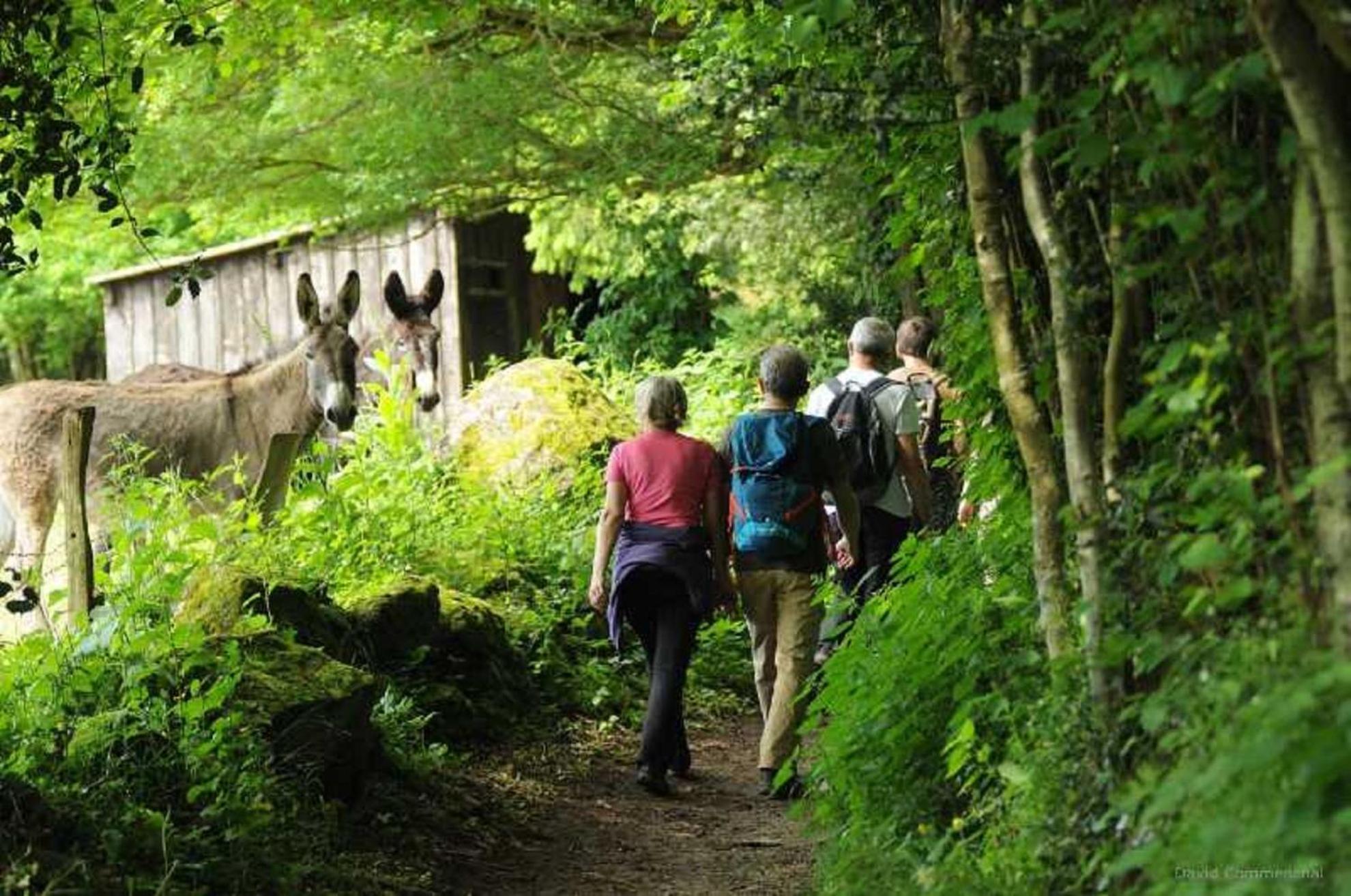 Gite De Fourneaux Pont-d'Ouilly Экстерьер фото